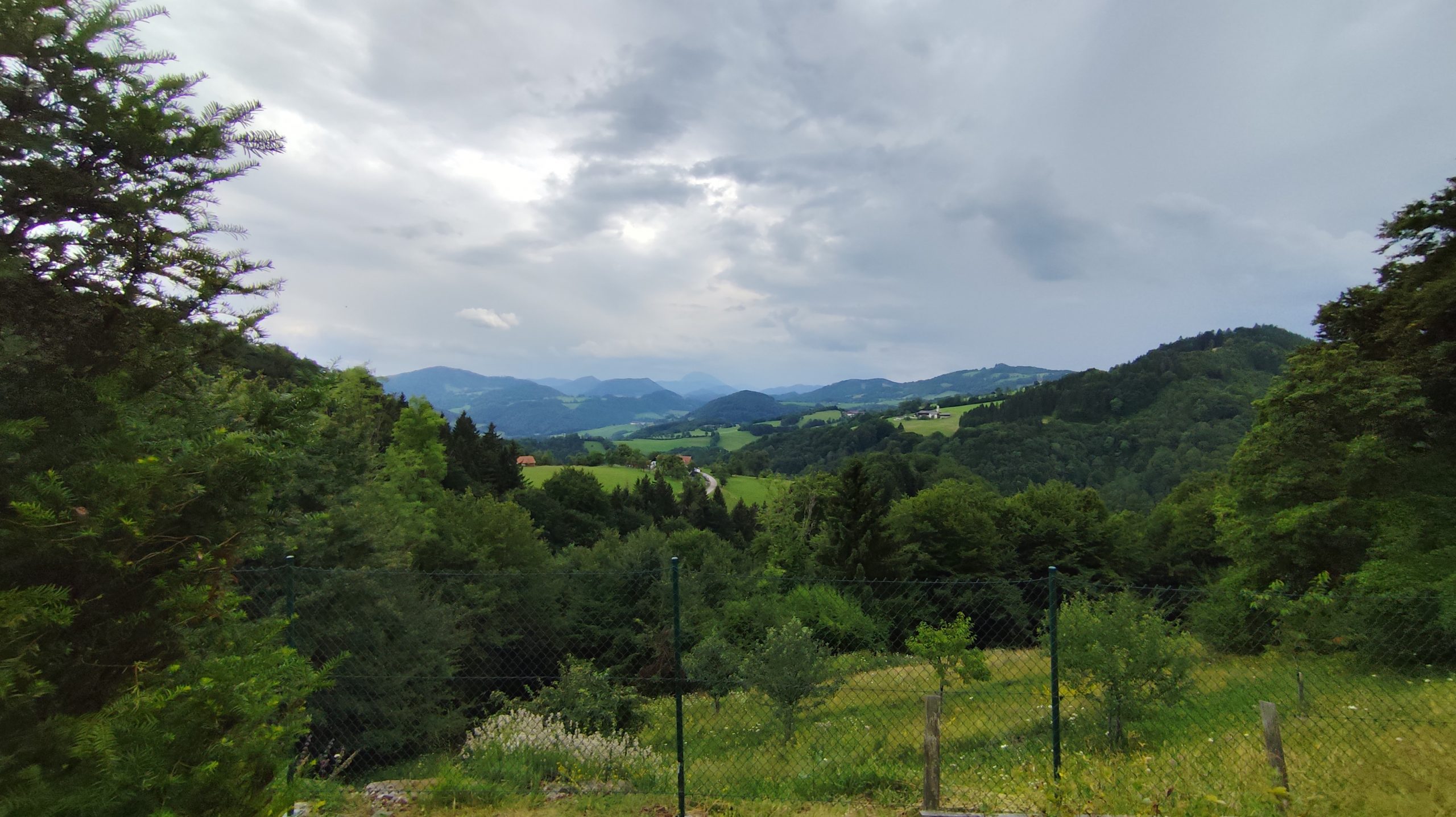 Pilzwanderung bei Dießen mit der VHS Ammersee West 14:00 bis 17:00 Uhr